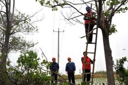 体检全市电网 安全迎峰度夏