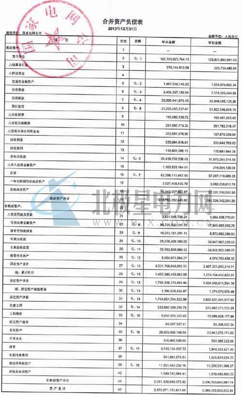 国家电网审计报告