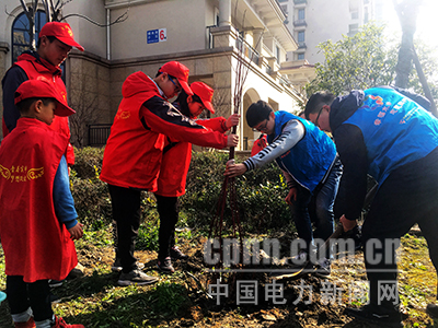 浙能滨海热电：植树进社区