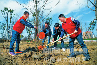 阜南供电：环保植树添新绿