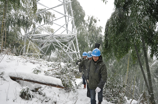 浙江电力启动预防雨雪冰冻天气蓝色预警