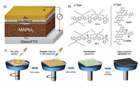 苏州大学马万里团队Adv. Funct. Mater.：共轭聚合物助力钙钛矿电池效率及稳定性