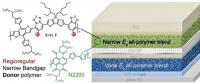 全聚合物非富勒烯叠层太阳能电池