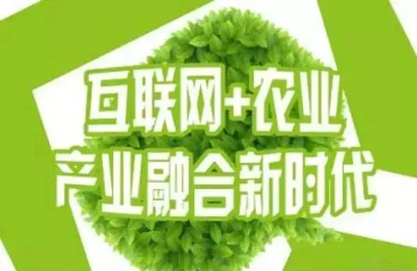 互联网+农业，6大创业方向是…