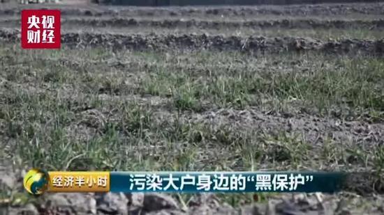 山西三维集团恶行：废水偷排山西母亲河 污水恶臭庄稼绝收