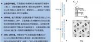 锂离子电池阴离子氧化还原化学的内在科学及实用性讨论