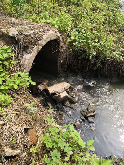 督查组：湖北省武汉市巡司河洪山区段黑臭现象依然严重