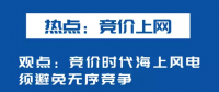 海上风电如何应对竞价上网、大功率研发、事故风险？